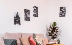 Silwy® Flex Magnethaken Inkl. Metall-Nano-Gel-Pads 5 Cm 8-tlg. Blau -Fiammathle Geschaft 337223 2526526 1