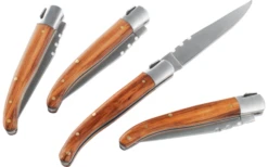 GSI Rakau Steak Messer Set Inklusive Tragetasche 4 Teilig -Fiammathle Geschaft 645705 4581402