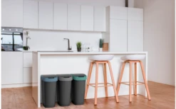 Rotho Twist Abfalleimer Mit Schwing- Und Klappdeckel 25 Liter Mistletoe Grün -Fiammathle Geschaft 688593 4830146 2