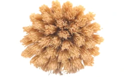 Origin Outdoors Reinigungsbürste Spülbürste Bambus Mit Naturfasern -Fiammathle Geschaft 746156 5037293